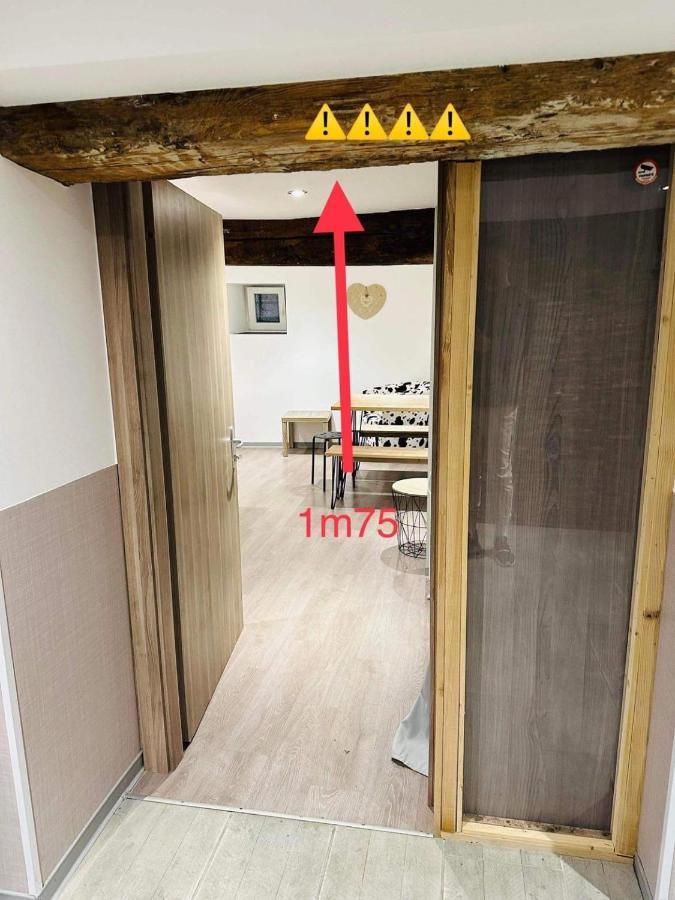 Gite Le 16 Ribeauvillé Esterno foto