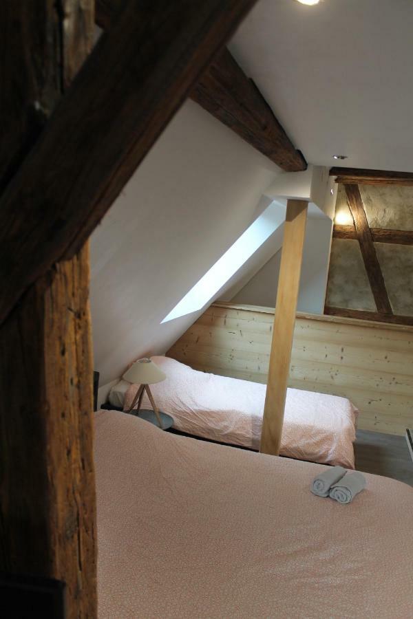Gite Le 16 Ribeauvillé Esterno foto